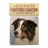 TriCol Border Collie Dog Single Leather Photo Coaster