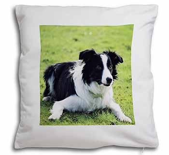 Border Collie Dog Soft White Velvet Feel Scatter Cushion