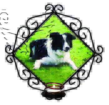 Border Collie Dog Wrought Iron Wall Art Candle Holder