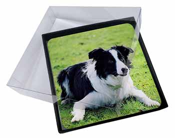 4x Border Collie Dog Picture Table Coasters Set in Gift Box