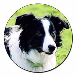 Border Collie Dog Fridge Magnet Printed Full Colour