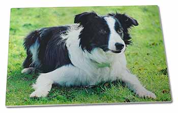 Large Glass Cutting Chopping Board Border Collie Dog