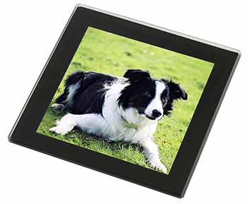 Border Collie Dog Black Rim High Quality Glass Coaster