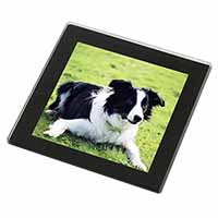 Border Collie Dog Black Rim High Quality Glass Coaster