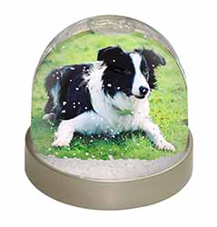 Border Collie Dog Snow Globe Photo Waterball