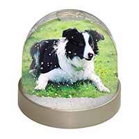 Border Collie Dog Snow Globe Photo Waterball