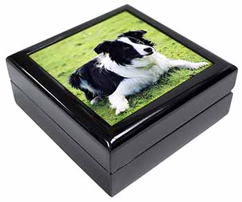 Border Collie Dog Keepsake/Jewellery Box