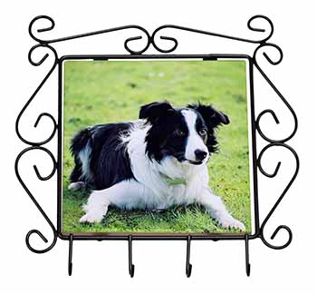 Border Collie Dog Wrought Iron Key Holder Hooks