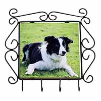 Border Collie Dog Wrought Iron Key Holder Hooks