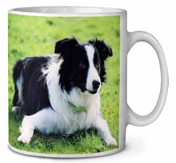 Border Collie Dog Ceramic Coffee Mug/Tea Cup