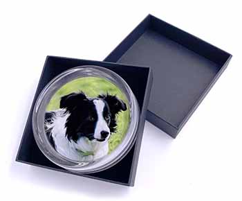 Border Collie Dog Glass Paperweight in Gift Box