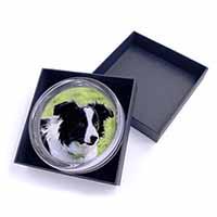 Border Collie Dog Glass Paperweight in Gift Box