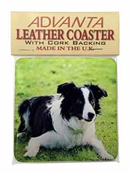 Border Collie Dog Single Leather Photo Coaster