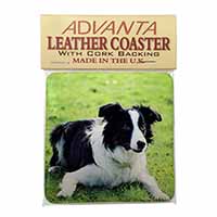 Border Collie Dog Single Leather Photo Coaster