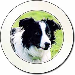 Border Collie Dog Car or Van Permit Holder/Tax Disc Holder