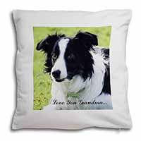 Border Collie Dog 