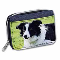 Border Collie Dog 