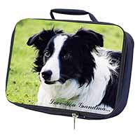 Border Collie Dog 