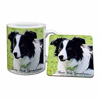 Border Collie Dog 