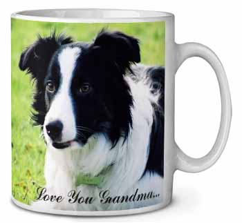 Border Collie Dog 