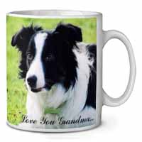 Border Collie Dog 