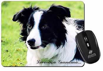 Border Collie Dog 