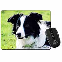 Border Collie Dog 