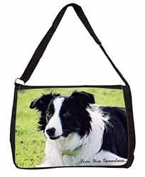 Border Collie Dog 