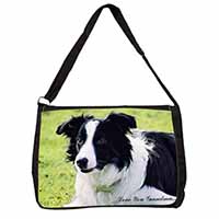 Border Collie Dog 