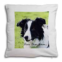 Border Collie Dog 