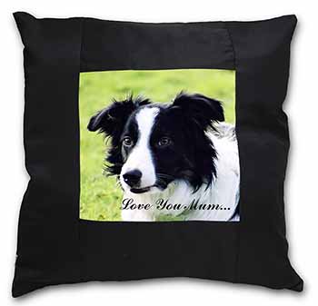 Border Collie Dog 