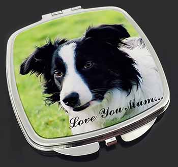 Border Collie Dog 