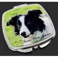 Border Collie Dog 