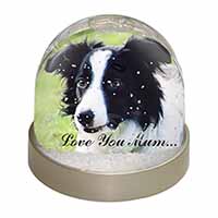 Border Collie Dog 