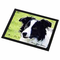 Border Collie Dog 