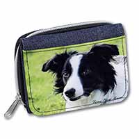 Border Collie Dog 