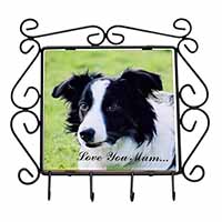 Border Collie Dog 