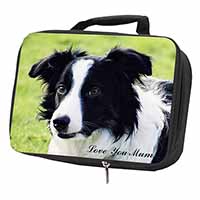 Border Collie Dog 