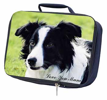 Border Collie Dog 