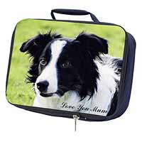 Border Collie Dog 