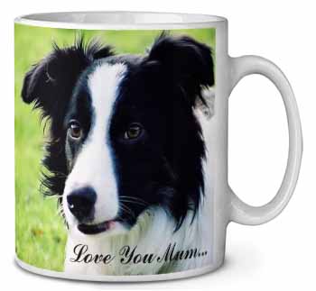 Border Collie Dog 