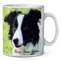 Border Collie Dog 