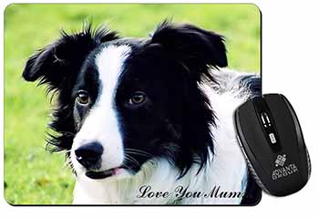 Border Collie Dog 