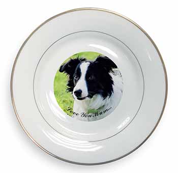 Border Collie Dog 