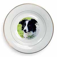 Border Collie Dog 