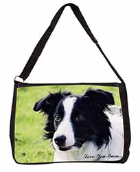 Border Collie Dog 