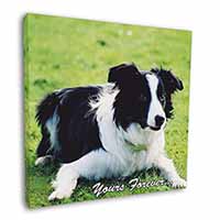 Border Collie Dog "Yours Forever..." Square Canvas 12"x12" Wall Art Picture Prin