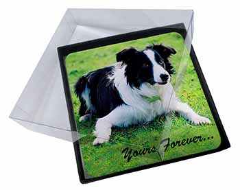4x Border Collie Dog "Yours Forever..." Picture Table Coasters Set in Gift Box