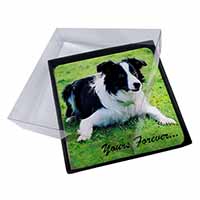 4x Border Collie Dog "Yours Forever..." Picture Table Coasters Set in Gift Box