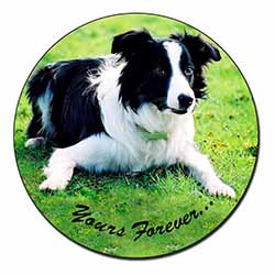 Border Collie Dog "Yours Forever..." Fridge Magnet Printed Full Colour